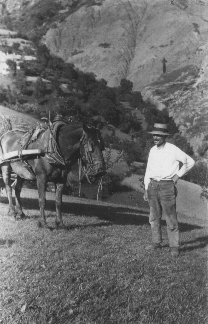 [Homme avec un chapeau de paille et mule attelée à une charrette de foin, Bouchanières ?]