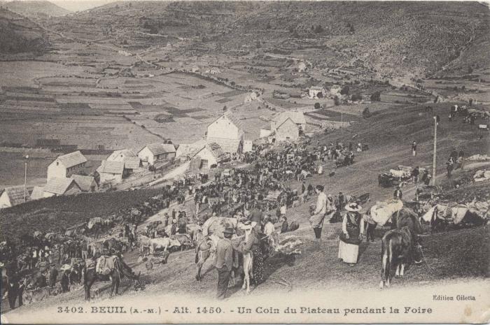 3402. - Beuil (A.-M) alt 1450 m - un coin du plateau pendant la foire