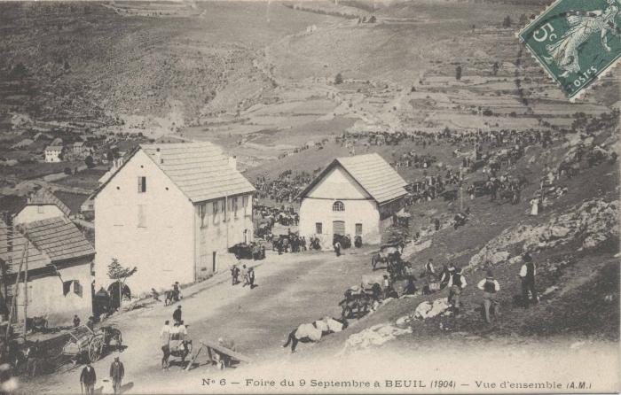 N°6 - Beuil - Foire du 9 septembre 1904 - vue d'ensemble