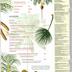 La Garance voyageuse : revue du monde végétal  - n°139  Septembre  2022 - Amazonie - Kaki - Palmiers - Primevère des mers - signature des plantes